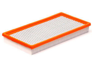 Luftfilter, 4.0-L., YJ, 1991–1995