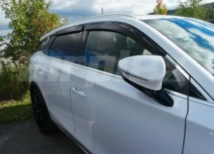 Vindavvisare BYD Tang 2021– tonad